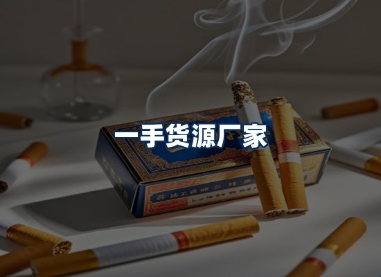 专业团队办公环境
